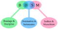 800px-BDSM acronym.svg.png